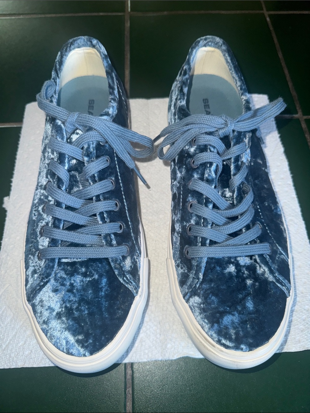 SeaVees Monterey sneaker platform crushed  velvet